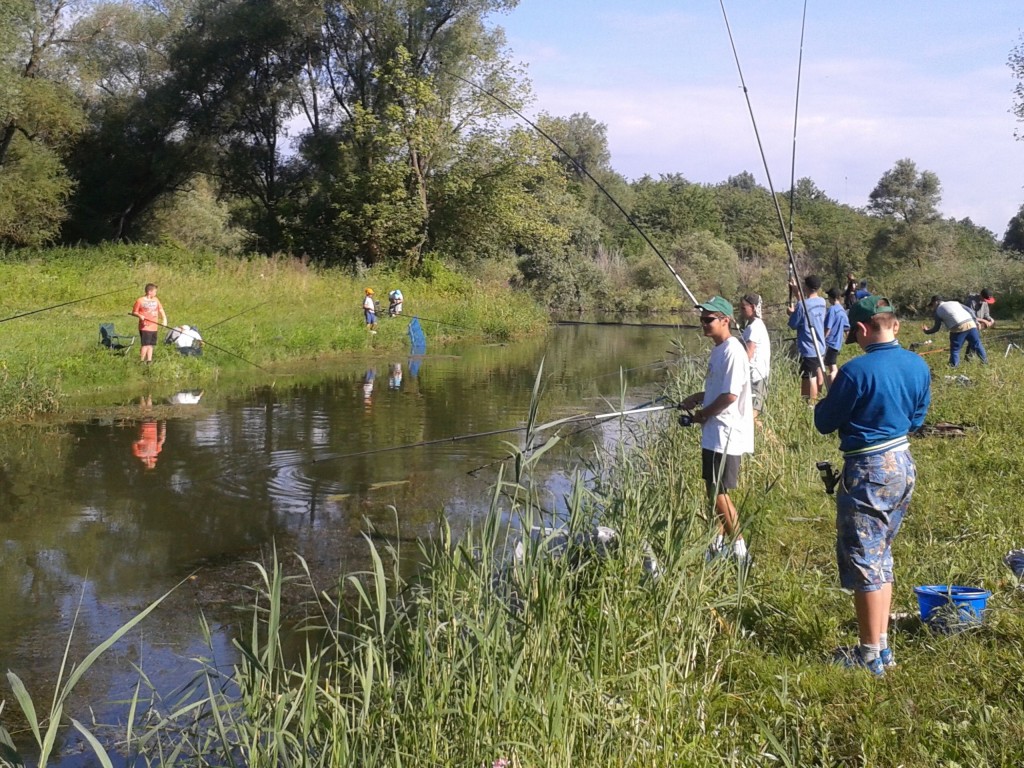 Horgásztábor a Szigetközben